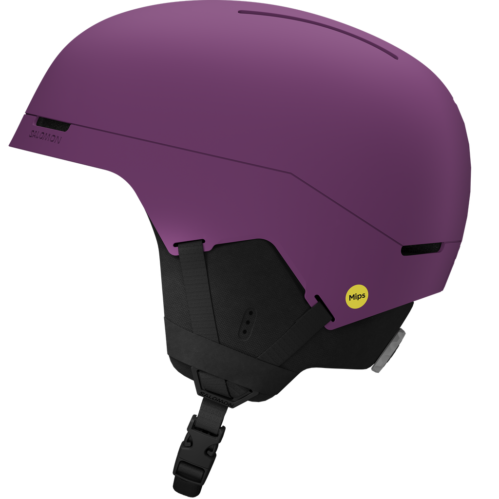 BRIGADE INDEX MIPS