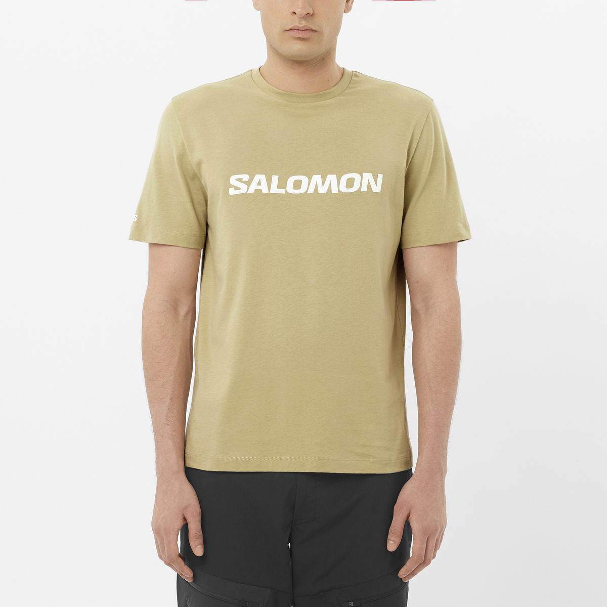 SALOMON LOGO