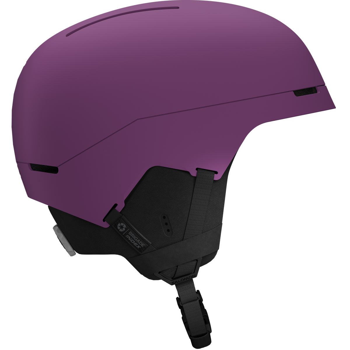 BRIGADE INDEX MIPS