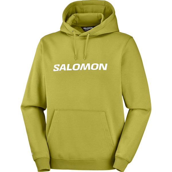 SALOMON LOGO