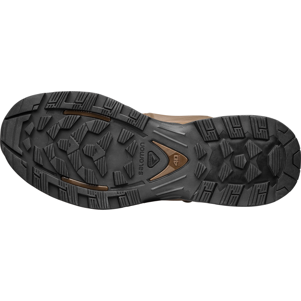 QUEST 4D FORCES 2 EN