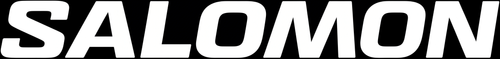 salomonshoe.it.com